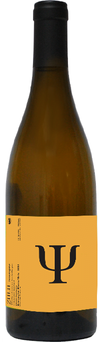 paradigme ZULU - Roussillon