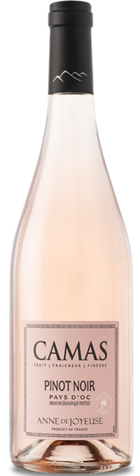 vin camas pinot noir rosé